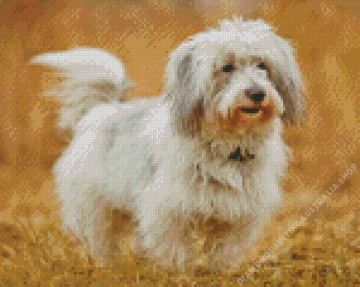 Cotton Tulear Dog Diamond Painting