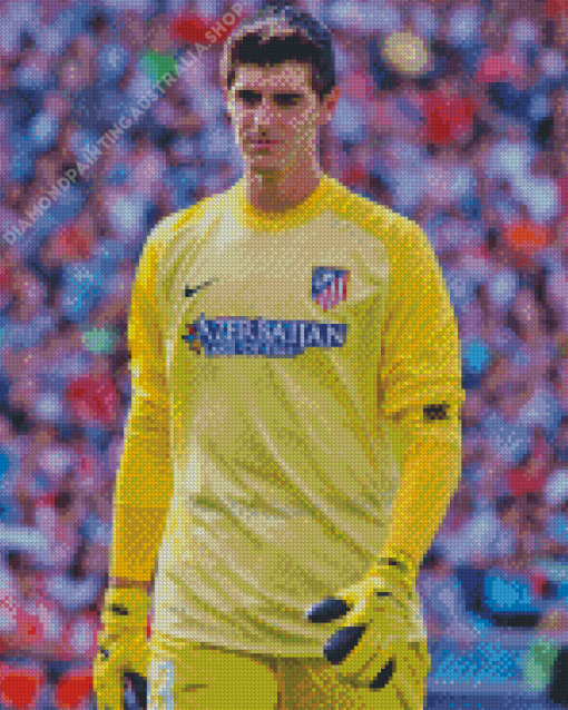 Courtois Thibaut Diamond Painting