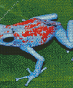 Dart Frogs Diamond Painting