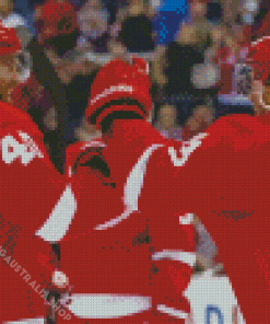 Detroit Red Wings Players Diamond Painting