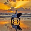 Girl with Horse at Beach Diamond Painting