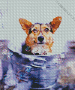 Dog In Bath Diamond Painting