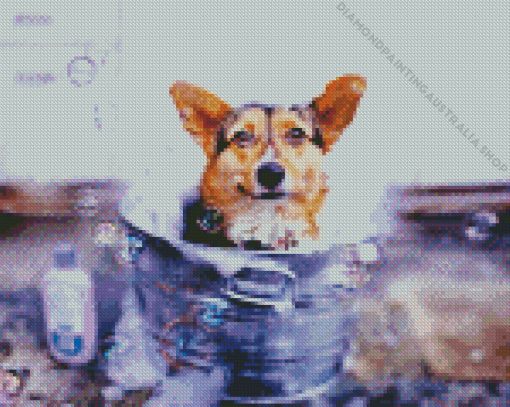 Dog In Bath Diamond Painting