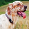 English Setter Puppy Diamond Painting