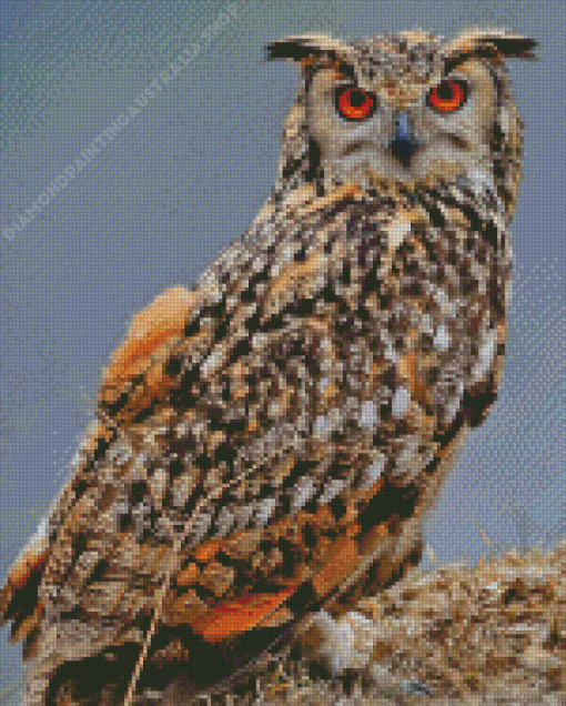 Eurasian Eagle Owl Orange Eyes Diamond Painting