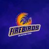 Firebirds Netball Diamond Painting