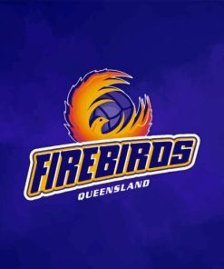 Firebirds Netball Diamond Painting