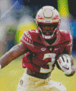 Florida State Seminoles Player Diamond Painting