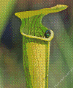 Fly in Carnivorous Plant Diamond Painting