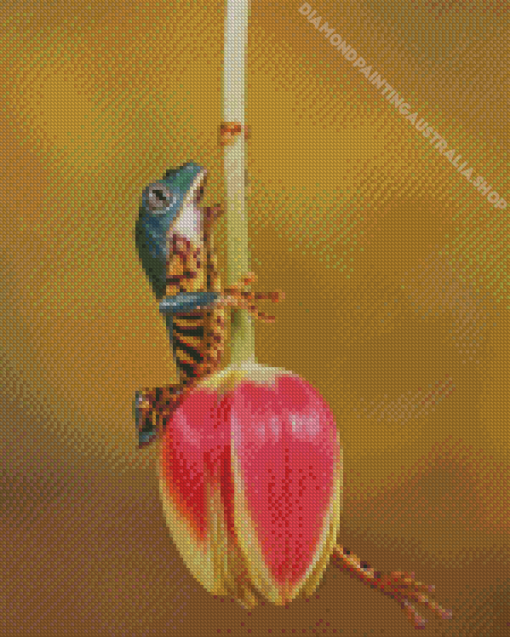 Frog On A Tulip Flower Diamond Painting