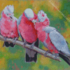 Galah Birds Diamond Painting