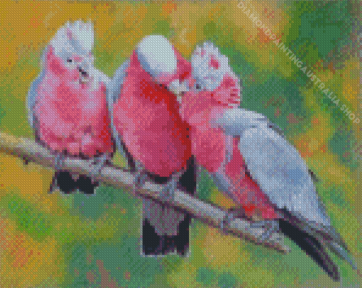 Galah Birds Diamond Painting