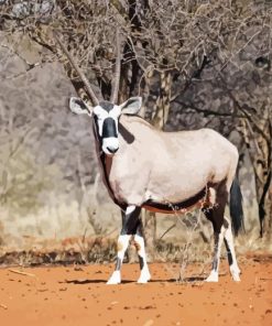 Gemsbok Diamond Painting