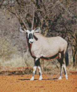 Gemsbok Diamond Painting