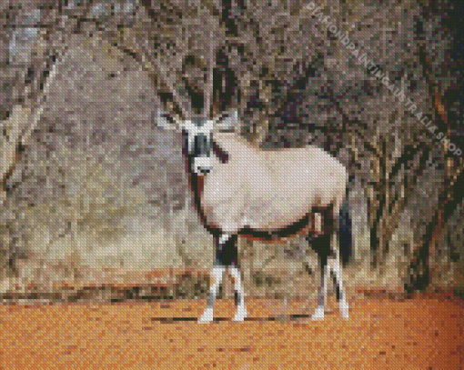 Gemsbok Diamond Painting