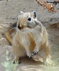 Gerbil Diamond Painting