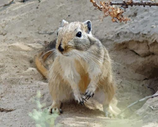 Gerbil Diamond Painting