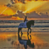 Girl with Horse at Beach Diamond Painting