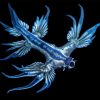 Glaucus Marginatus Diamond Painting