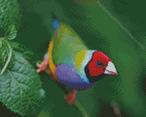 Gouldian Finch Diamond Painting