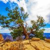 Grand Canyon National Park North Rim Diamond Painting