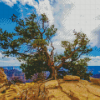 Grand Canyon National Park North Rim Diamond Painting