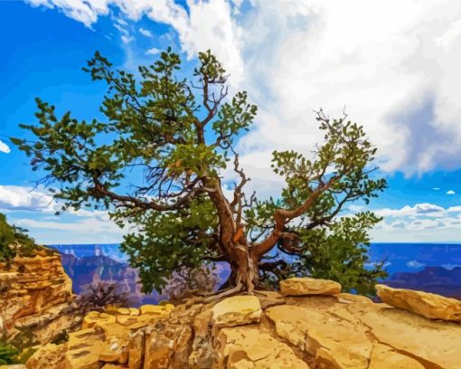 Grand Canyon National Park North Rim Diamond Painting