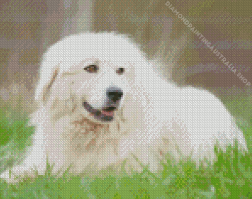 Great Pyrenees Diamond Painting