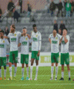 Hammarby Fotboll Players Diamond Painting