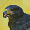 Harris Hawk Diamond Painting