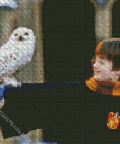 Harry Potter and Hedwig Diamond Painting