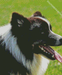 Herding Dog Diamond Painting