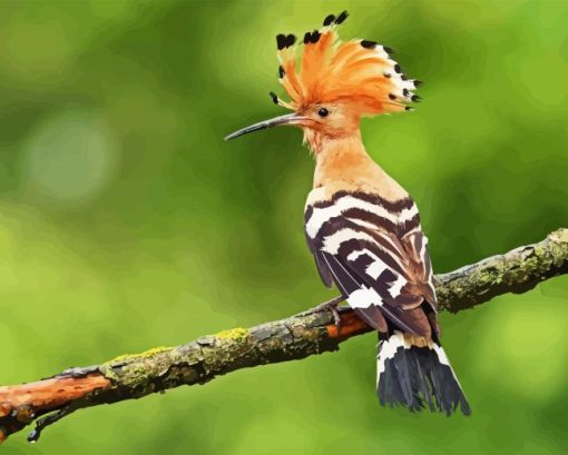 Hoopoe On Tree Diamond Painting