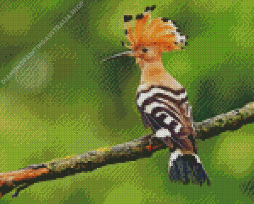 Hoopoe On Tree Diamond Painting