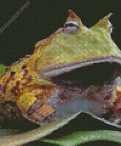 Horned Frog Animal Diamond Painting