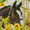 Horse And Flowers Diamond Painting