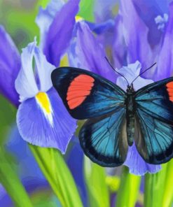 Irises And Butterflies Diamond Painting