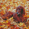 Irish Setter In Autumn Leaves Diamond Painting