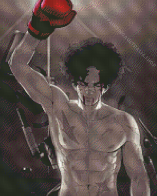 Joe Megalobox Anime Serie Diamond Painting