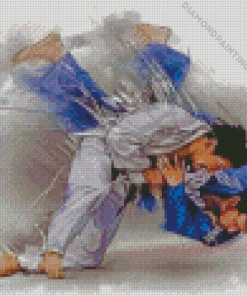 Judoka Fighters Diamond Painting