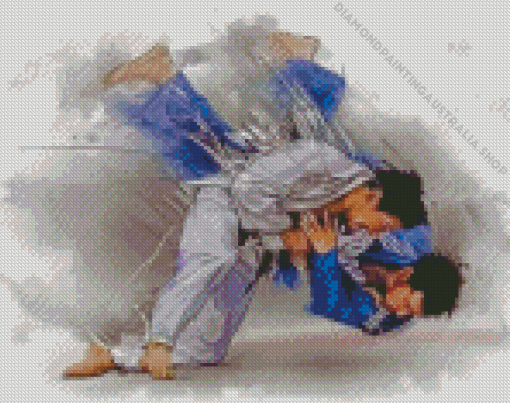 Judoka Fighters Diamond Painting