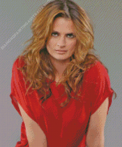 Kate Beckett Castle Diamond Painting