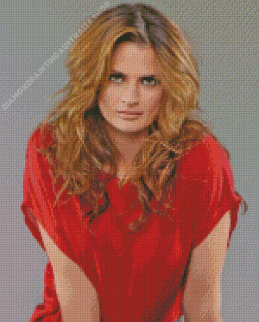 Kate Beckett Castle Diamond Painting