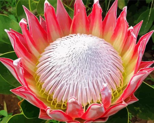 King Protea Plant Diamond Painting