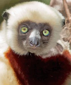 Lemur With Green Eyes Diamond Painting