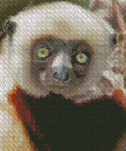 Lemur With Green Eyes Diamond Painting