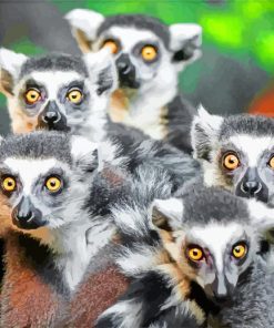 Lemurs Animals Diamond Painting