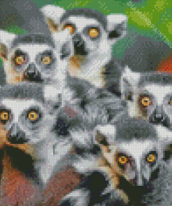 Lemurs Animals Diamond Painting