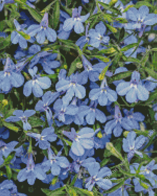 Lobelia Diamond Painting