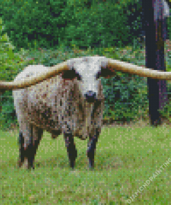 Long Horn Bull Diamond Painting